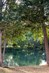 Parque con laguna 