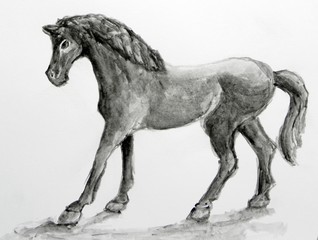 Standing horse. Illustration on white background.