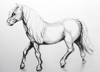 Obraz na płótnie Canvas Standing horse. Illustration on white background.