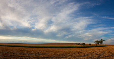 On the empty field after harvesting in summer evening.