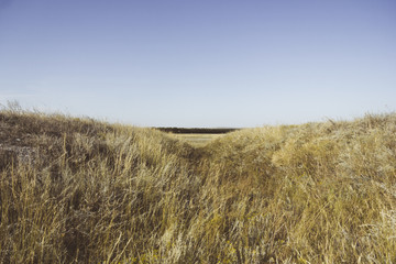 Obraz premium Chalk mountains. Sol-Iletsk, Russia. Travel across Russia.