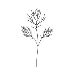 Hand drawn branch. Outlines vector element for design. Floral illustration.