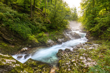 Wide angle view of the Slovenian Vintgar gorge, with a torrent rushing between rocks and into...