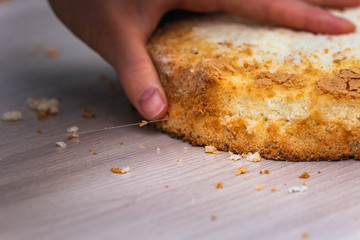 Homemade tasty cake