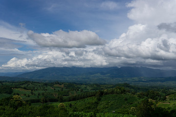 Landscape view with green forest during rainy season in Thailand.