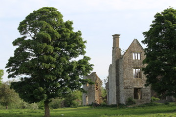 Fototapeta na wymiar Ruined manor house