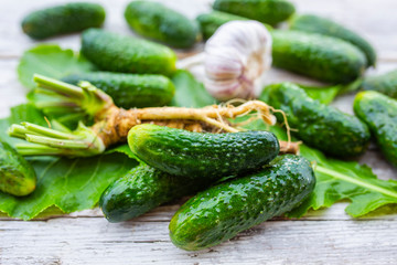 Fresh ingredients for green cucumber preserves.