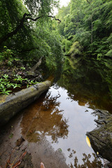 Obraz premium The River Foyers besides Loch Ness the Scottish Highlands