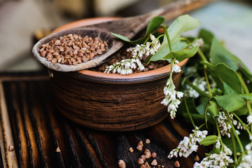 Not cooked buckwheat in wooden spoon. Healthy food for vegetarians. Ingredients Food for weight loss.