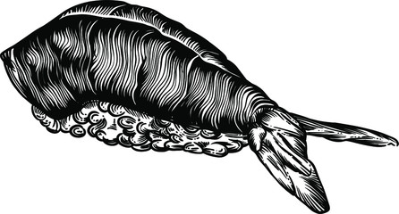 Vector Illustration of rolls, sushi and seafood in the sketch style. Detailed drawing of images with a line in black and white. For menus, banners, icons, stickers, and any other directions. Seamless 