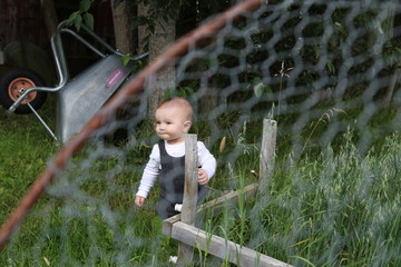 Mixed race baby boy playing in nature