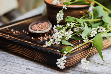 Scattered grains of buckwheat on table. Fresh buckwheat flowers. Healthy Food Concept