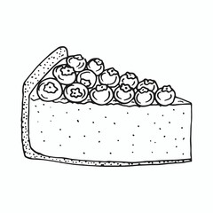 Cheesecake piece with blueberry isolated on white background. Tasty birthday cake. Vector hand drawn sketch illustration in doodle outline. Bakery, confectionery, engraved vintage design.