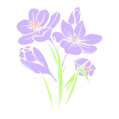 Hand drawn vector spring flower. Separate in outline and color.