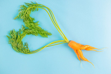 Irregular carrots lie on a blue background and fold the shape of a heart. Sexual health day...