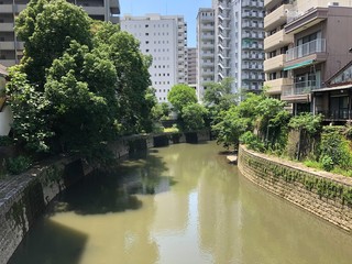 街中の川