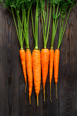 A bunch of raw carrots with green tops on a dark wooden background. Eco food, rustic style. Top...