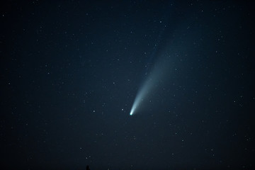 Obraz na płótnie Canvas Comet Neowise in the starry night sky.
