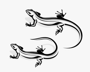 Fototapeta premium Lizard iguana drawing art logo symbol design illustration
