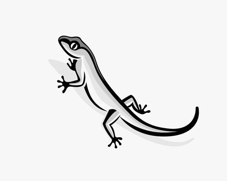 Lizard iguana gecko drawing art logo symbol illustration