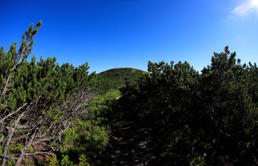 Trail From Grześ, Rakoń and Wołowiec, Tatra mountains