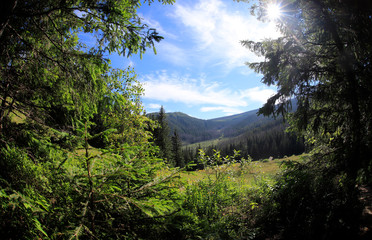 Polana Olczyska _Tatry,  Zakopane © Ruchacz