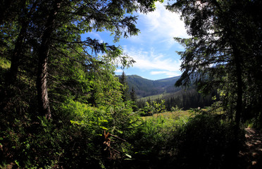 Polana Olczyska _Tatry,  Zakopane © Ruchacz