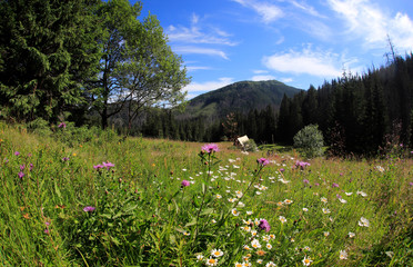 Polana Olczyska _Tatry,  Zakopane © Ruchacz