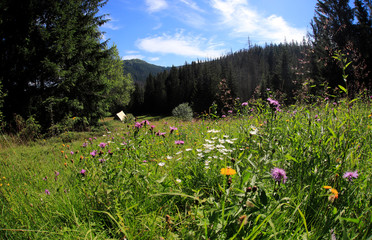 Polana Olczyska _Tatry,  Zakopane © Ruchacz