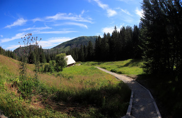 Polana Olczyska _Tatry,  Zakopane © Ruchacz