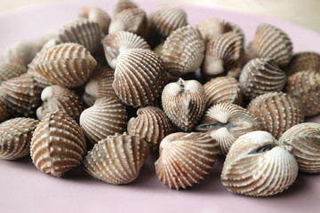 Close up seafood Thailand menu called Hoi Krang Pao or Grilled Cockle on a plate.