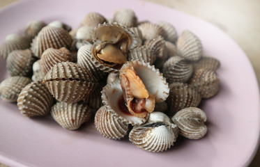 Close up seafood Thailand menu called Hoi Krang Pao or Grilled Cockle on a plate.