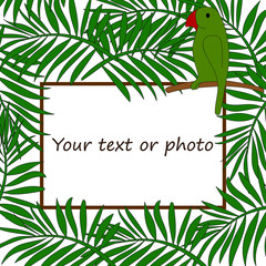 Frame for text or photo in tropical style
