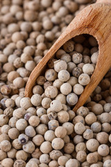 white peppercorns seed on white acrylic background
