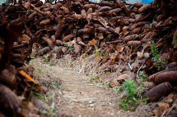 Sad war artifacts,pile of old unexploded bombs.