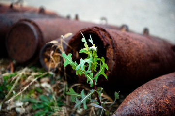 Sad war artifacts,pile of old unexploded bombs.