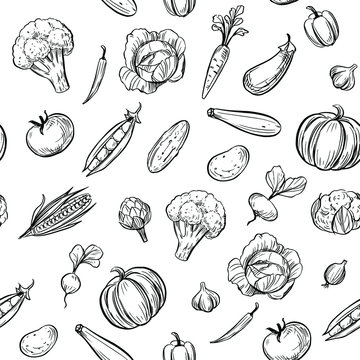 Seamless pattern. Outline vegetables. Doodle illustration. Black on transparent background. Vector