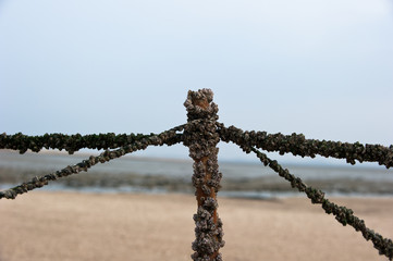 The landscape of seashore and fishing gear.