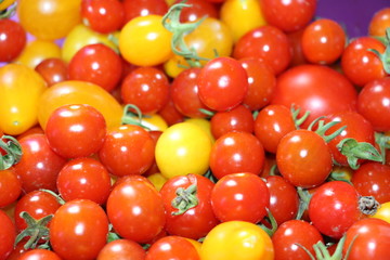 tomates cerises