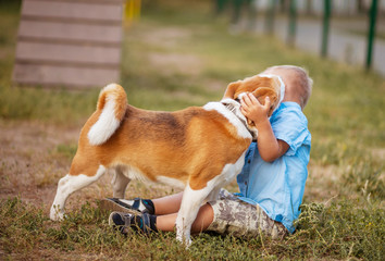 The daily life of a child with disabilities. A boy with Down syndrome plays with dogs. Chromosomal...