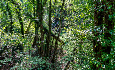 Fototapeta premium Vista lungo la via delle cascate perdute a Sarnano nelle Marche
