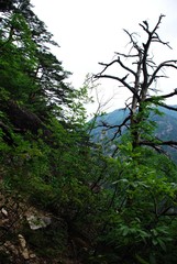 The beautiful deep valley mountain at morning on the mountain hiking.