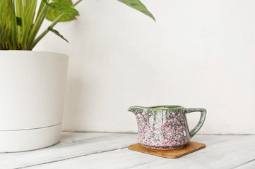 small porcelain jug of milk on bamboo stand and potted calathea plant on a light wooden table