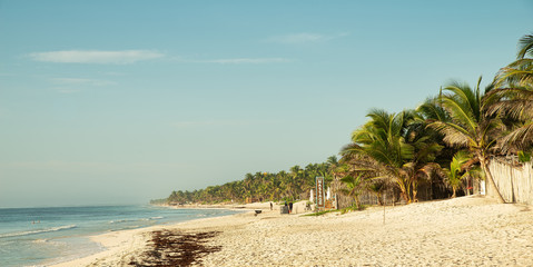 Tulum's tropical beach with palm trees and sea