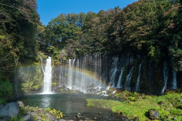 Fototapeta na wymiar 虹のかかった白糸の滝