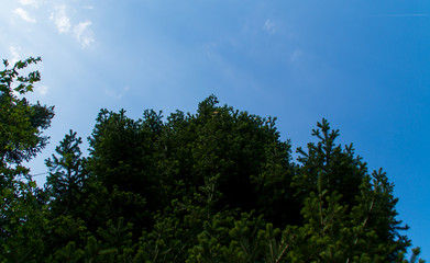 Obraz premium Vista lungo la via delle cascate perdute a Sarnano nelle Marche