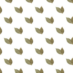 Seamless pattern of two bay leaves on a white background