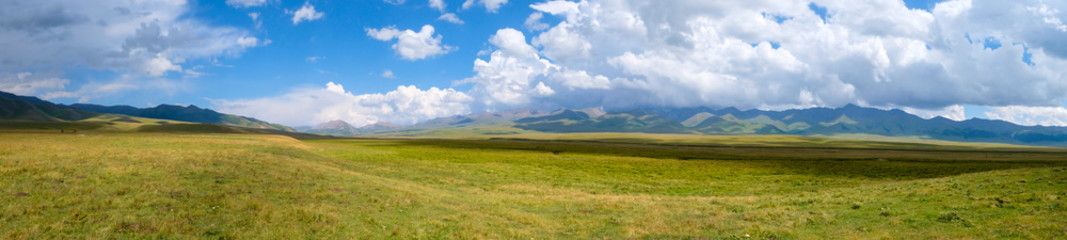 Panoramic landscape of beautiful green mountain valley with blue cloudy sky on background. Sunset light. Mountain valley view. Summer nature landscape. Rural scenery. Shalkode valley, Kazakhstan.