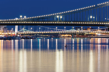 Fototapeta na wymiar Bridges over Danube river in Budapest at night
