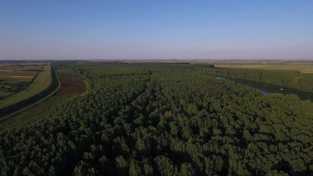 Green forest by the river Tisa in Europe